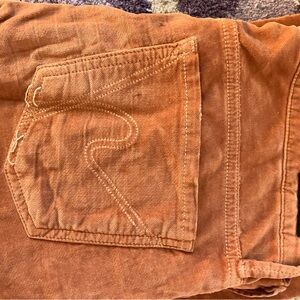 Vintage Velvet Citizens for Humanity Skinny Pants